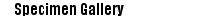 Specimen gallery